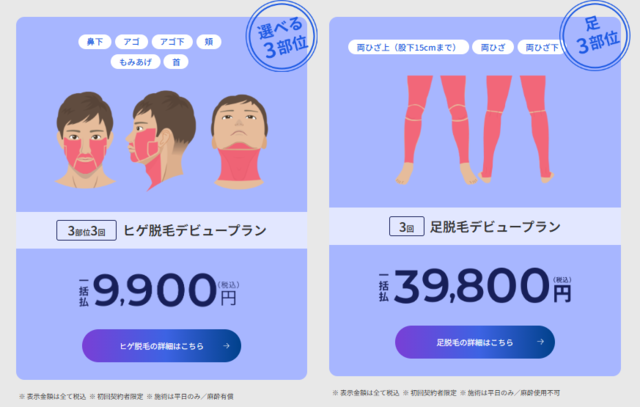 レジーナオム_デビュープラン