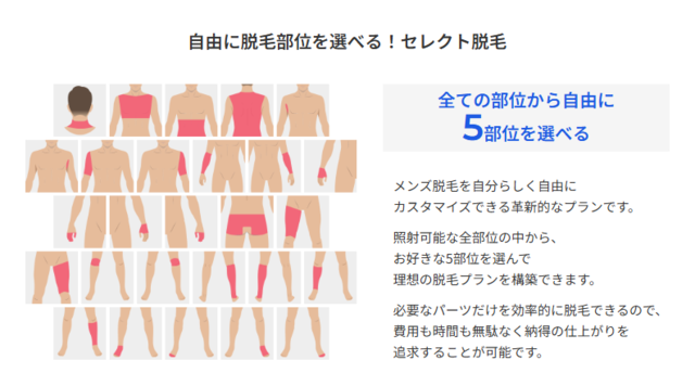 レジーナオム‗セレクト脱毛プラン詳細
