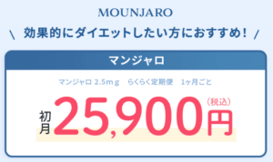 DMMオンラインクリニック マンジャロ LP