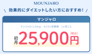 DMMオンラインクリニック マンジャロ LP