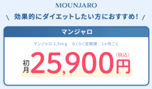 DMMオンラインクリニック マンジャロ LP