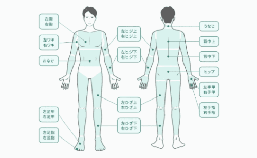 フレイアクリニックメンズ 全身脱毛