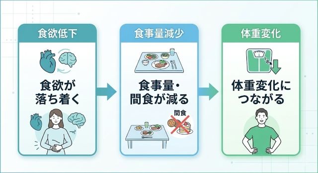 食欲低下→食事量減少→体重変化の3ステップを示す流れ図。左から右へ矢印でつながる横並びのシンプルな構成。各ステップに「食欲が落ち着く」「食事量・間食が減る」「体重変化につながる」と記載