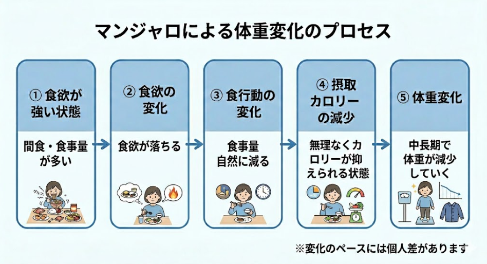 マンジャロ‗口コミ‗体重変化‗プロセス