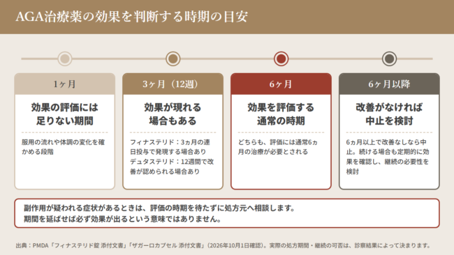 AGA治療薬の効果を判断する時期の目安（1ヶ月・3ヶ月・6ヶ月・6ヶ月以降）