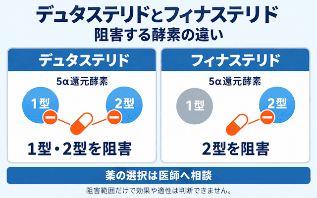 デュタステリドとフィナステリドの酵素阻害比較