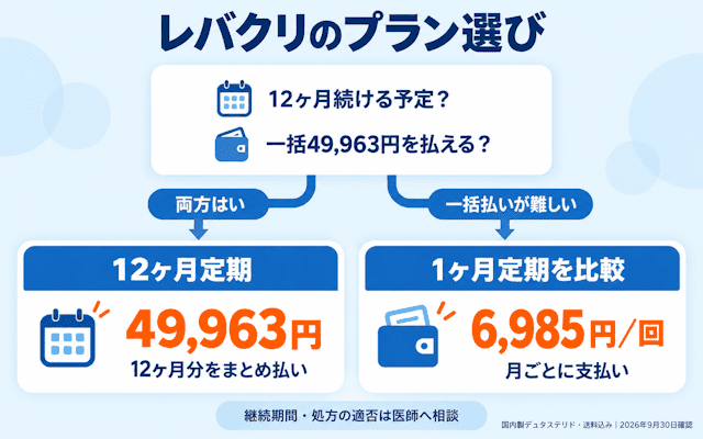 レバクリのプラン選びのポイント