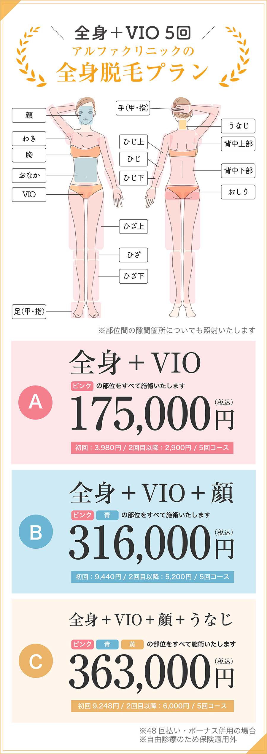 アルファクリニックの全身脱毛プラン